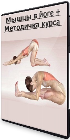 [Basebody] Мышцы в йоге + Методичка курса (Ксения Шатская, Павел Родионов) (2022) CAMRip